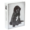R.Hale: Animals Black and White на 200 фото 10x15 кармашки LM-4R200 (48476) (арт.5-40386)