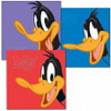 Daffy 300 фото 10x15 кармашки BBM46300/2 (арт.5-24423)